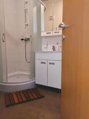 a bathroom with a shower and a sink and a tub at Apartman Teodora in Kopaonik