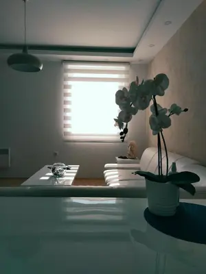 a room with a window with a potted plant on a table at Apartman Teodora in Kopaonik