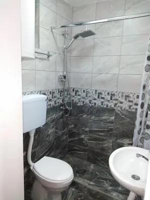 a bathroom with a toilet and a sink at Apartmani Marić in Vrnjacka Banja in Vrnjačka Banja