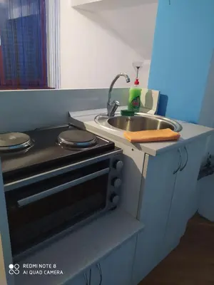 a small kitchen with a sink and a stove at Apartmani Marić in Vrnjacka Banja in Vrnjačka Banja