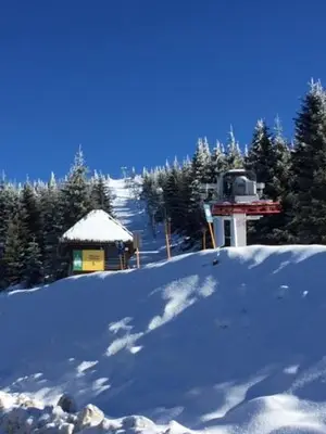 a snow covered slope with a small building and trees at Sunčani Breg apartman 10 in Kopaonik
