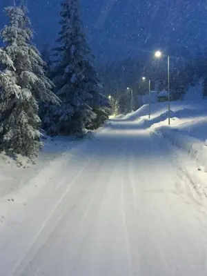 a road covered in snow at night with trees at Sunčani Breg apartman 10 in Kopaonik
