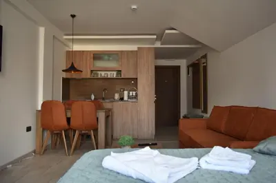 a room with a bed and a couch and a kitchen at S 68, Milmari Resort in Kopaonik