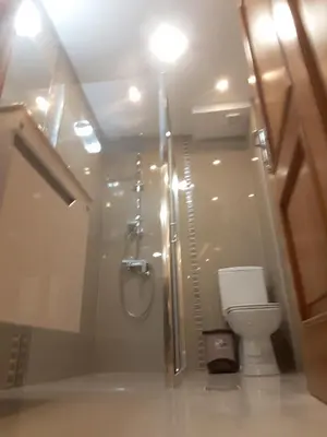 a bathroom with a shower and a toilet in a room at Apartman Markos in Vrnjačka Banja