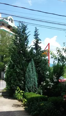 a group of trees in front of a building at M4U Apartments in Niš