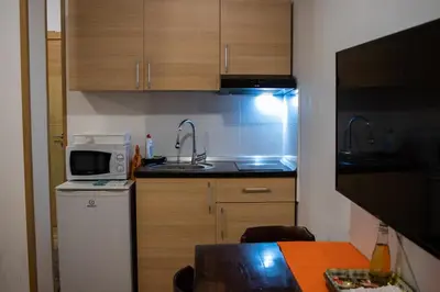 a small kitchen with a sink and a microwave at Apartman sa kaminom Vila Mina in Kopaonik