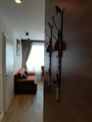 two flowers on a wall in a living room at Silver Kop 2 Apartmani in Kopaonik