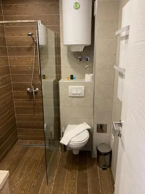 a bathroom with a toilet and a glass shower at Mount Apartments Milmari in Kopaonik