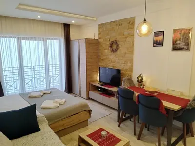 a living room with a bed and a table and a television at Milmari-Apartman MARA L30 in Kopaonik