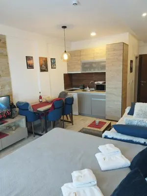 a living room with a bed and a kitchen at Milmari-Apartman MARA L30 in Kopaonik