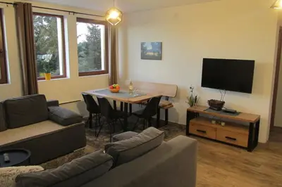 a living room with a couch and a table with a tv at JOPA Suncani breg in Kopaonik