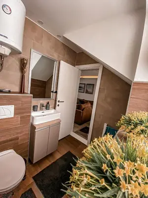 a bathroom with a toilet and a sink in a room at Apartmani Džanković in Kopaonik