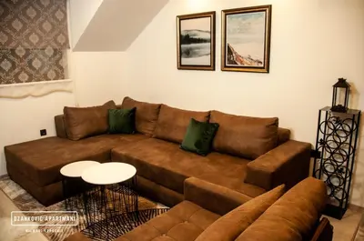a living room with a brown couch and a table at Apartmani Džanković in Kopaonik
