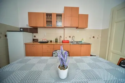 a kitchen with a table with a potted plant on it at Apartman Lux in Pirot