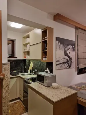 a kitchen with a counter top with a microwave at Vila Pahulja A3 in Kopaonik