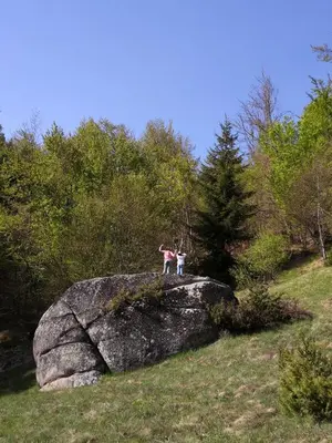 a person standing on top of a large rock at Sky Cabin Apartments - FREE GARAGE in Kopaonik
