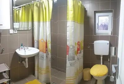 a bathroom with a sink and a toilet and a shower at Vlajkovic apartmani 2 in Vrnjačka Banja