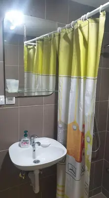 a bathroom with a sink and a shower curtain at Vlajkovic apartmani 2 in Vrnjačka Banja