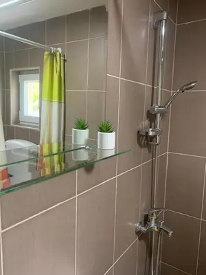 a bathroom with a shower with two potted plants on a glass shelf at Vlajkovic apartmani 2 in Vrnjačka Banja