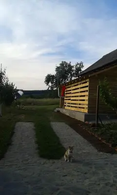 a cat sitting on a path next to a building at Seosko turisticko domaćinstvo Jagor in Despotovac