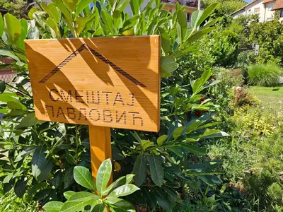 a wooden sign in a garden with a bush at Sokobanja Smeštaj Pavlović & privatan parking in Soko Banja