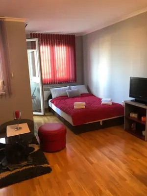 a bedroom with a bed with a red blanket at Studio Mišel 2 in Vrnjačka Banja