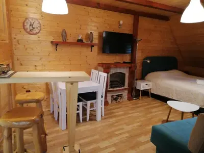 a room with a table and a bed and a fireplace at Konaci apartman Hani in Kopaonik