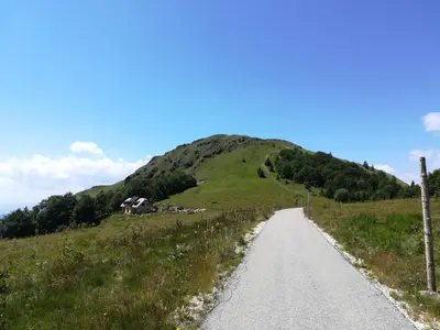 a dirt road in front of a green hill at Vila Irina - Studio 15 lux in Kopaonik