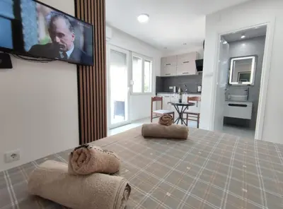 a living room with a tv on a wall at Nikolic Apartment 2 in Leskovac