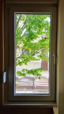 a window with a view of a tree at Apartmani Smiljanic Sokobanja in Soko Banja