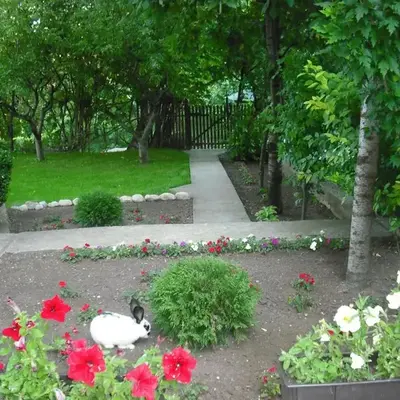 Apartmani Smiljanic Sokobanja