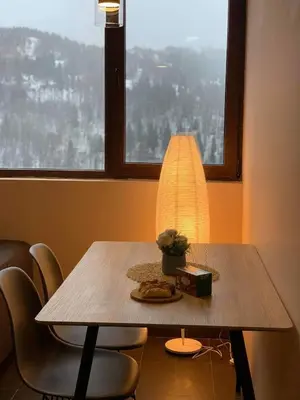 Gallery image of Apartment A13 Kopaonik in Kopaonik