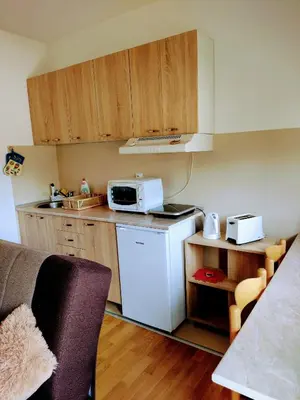 a kitchen with a white refrigerator and a microwave at Apartman Dana in Soko Banja