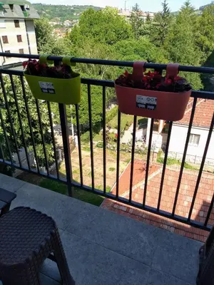 two potted plants on a railing on a balcony at Apartman Dana in Soko Banja