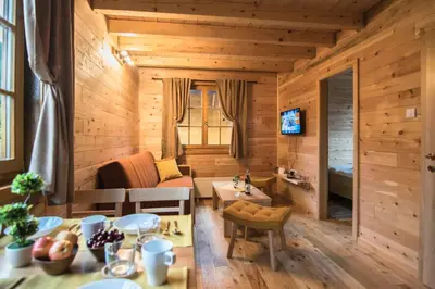 a living room with wooden walls and wooden floors at Kedar selo Goč in Goč