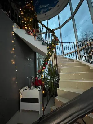 a staircase with christmas lights and a plant on it at Veliki Raj Plus in Stenjevac