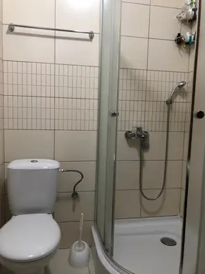 a bathroom with a toilet and a shower at Studio Apartman NENA in Vrnjačka Banja