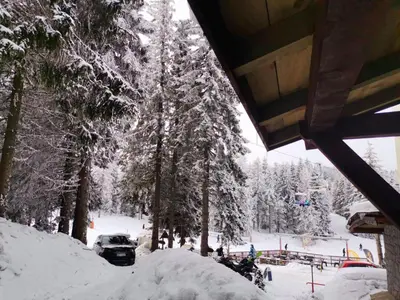 a group of people on a ski slope with snow covered trees at Apartman sa terasom Vila Mina Kopaonik in Kopaonik