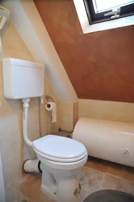 a bathroom with a white toilet and a skylight at Apartmani Pavlović in Kopaonik