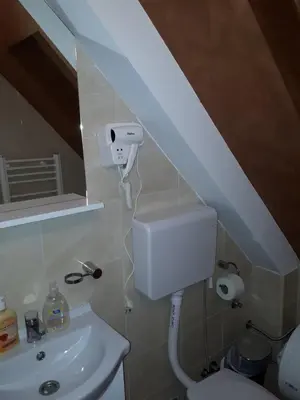 a bathroom with a white toilet and a sink at Apartmani Pavlović in Kopaonik