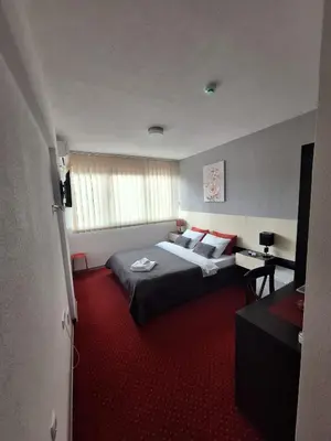 a bedroom with a bed and a red carpet at Rooms S&S Milicevic u strogom centru Aleksandrovca in Aleksandrovac
