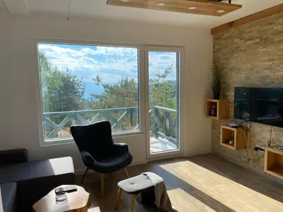 a living room with a chair and a large window at Silver Hill apartment in Kopaonik