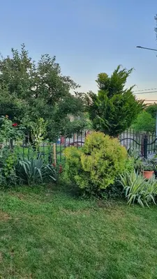 a fence in a yard with bushes and trees at Apartmani Odmor i Mir in Vranje