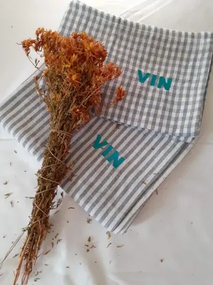 a blue and white napkin with a plant on it at Villa Zvončica, Apartman ViN in Kopaonik