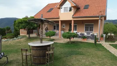 a house with a barrel and an umbrella in the yard at Etno selo Milanovic - Nonac in Kuršumlija