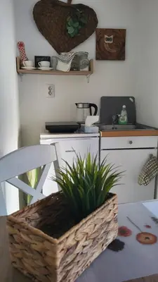 a kitchen with a table and a basket with a plant at Studio Milica in Vrnjačka Banja