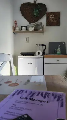 a kitchen with a table and a counter top at Studio Milica in Vrnjačka Banja