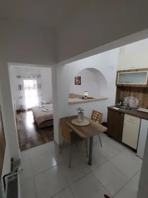 a kitchen and living room with a table in a room at Apartmani Ruj in Soko Banja