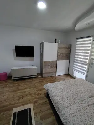 a bedroom with a tv and a bed in a room at Apartmani Ruj in Soko Banja