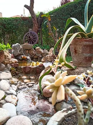 a garden with a pond with plants and rocks at Apartman i Studio Stefan Nemanja Sokobanja in Soko Banja